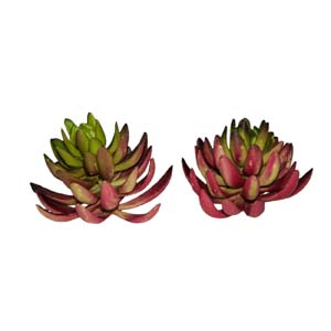 Fleur Art serie A (64)