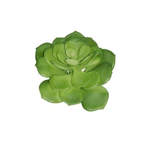 Fleur Art serie A (66)