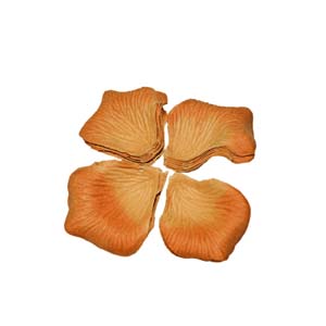 Fleur Art serie A (68)