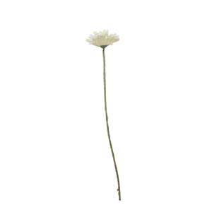 Fleur Art serie A (69)