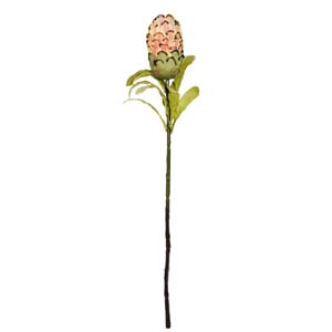Fleur Art serie A (7)