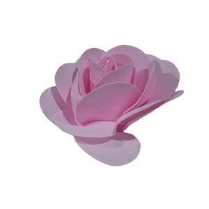 Fleur Art serie A (71)