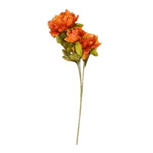 Fleur Art serie A (75)