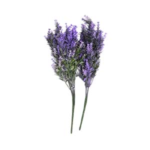 Fleur Art serie A (76)