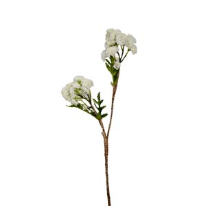 Fleur Art serie A (79)