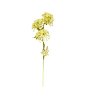 Fleur Art serie A (80)
