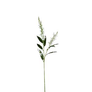Fleur Art serie A (85)