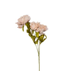 Fleur Art serie A (88)