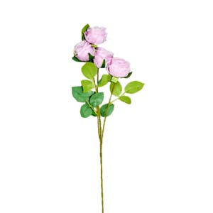 Fleur Art serie A (93)