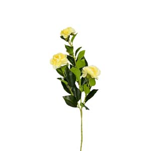 Fleur Art serie A (95)