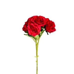 Fleur Art serie A (96)