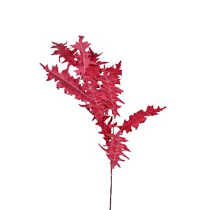 Fleur Art serie A (97)
