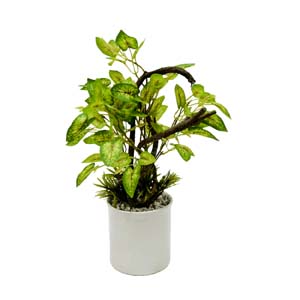 Vase Composé serie A (107)