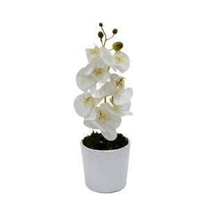 Vase Composé serie A (109)