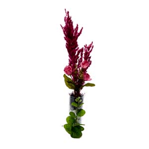 Vase Composé serie A (132)