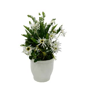 Vase Composé serie A (137)