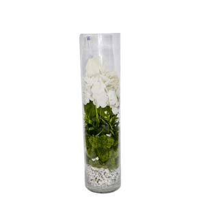 Vase Composé serie A (144)
