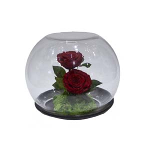 Vase Composé serie A (162)