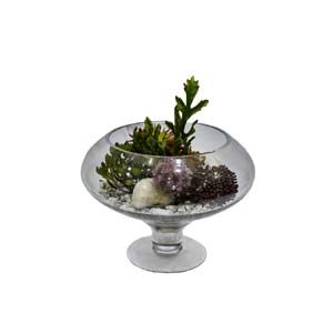 Vase Composé serie A (164)