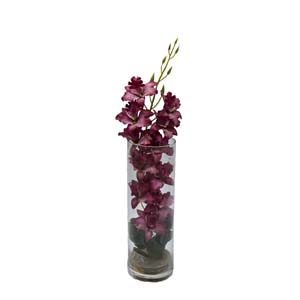 Vase Composé serie A (165)