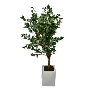 Vase Composé serie A (173)