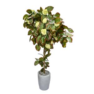 Vase Composé serie A (180)