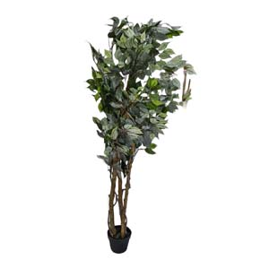 Vase Composé serie A (181)