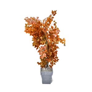 Vase Composé serie A (185)