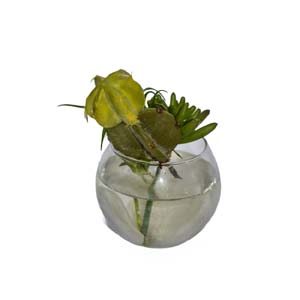 Vase Composé serie A (189)