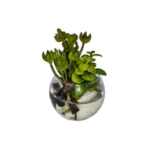 Vase Composé serie A (193)