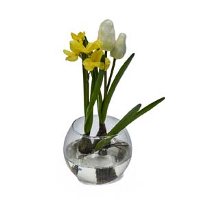 Vase Composé serie A (194)