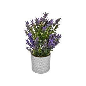 Vase Composé serie A (211)