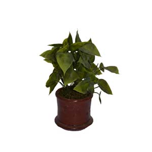 Vase Composé serie A (216)