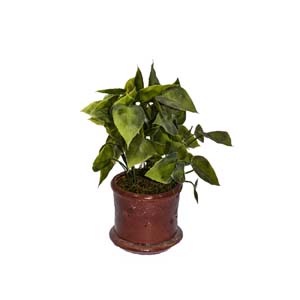 Vase Composé serie A (217)