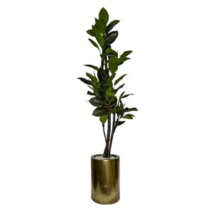 Vase Composé serie A (220)