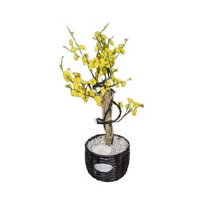 Vase Composé serie A (221)