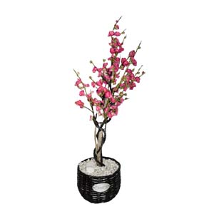 Vase Composé serie A (223)