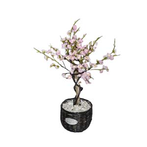 Vase Composé serie A (224)