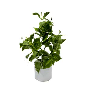 Vase Composé serie A (23)