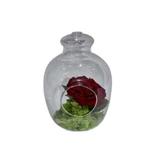 Vase Composé serie A (237)
