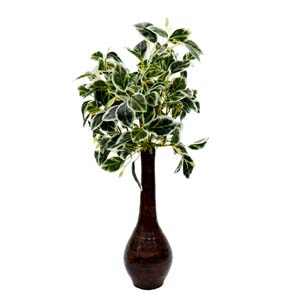 Vase Composé serie A (48)