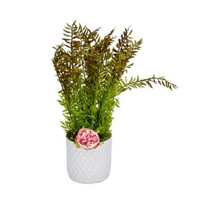 Vase Composé serie A (58)