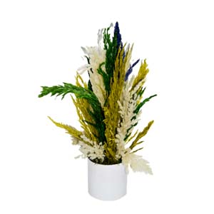 Vase Composé serie A (64)