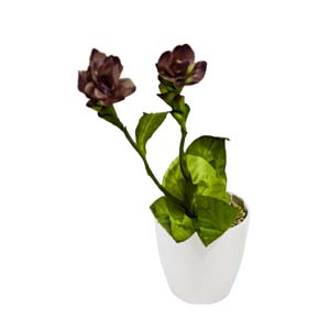 Vase Composé serie A (8)