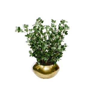 Vase Composé serie A (88)