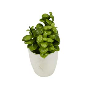 Vase Composé serie A (9)