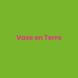 Vase en Terre