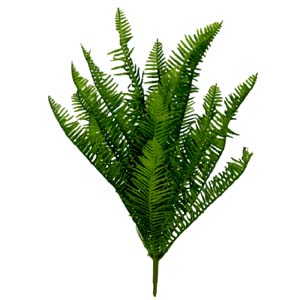 plante art serie A 1