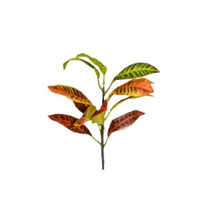 plante art serie A 11