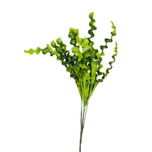 plante art serie A 12
